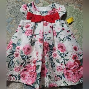 Girls Shimmery Flower Dress